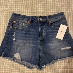 True Craft High Rise Shorty Jean Shorts size 10 (FW)